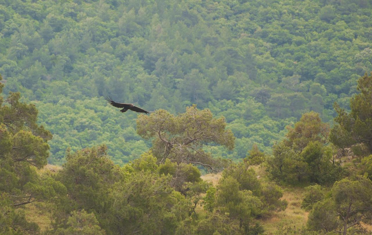 Ξενοδοχείο Ισιδώρα Λουτρός Εξωτερικό φωτογραφία